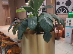 -德克士(长安百货店)