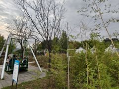 -西部长青自然儿童乐园