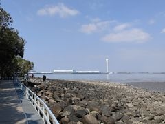 -上海吴淞炮台湾国家湿地公园
