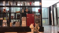 -CD Hair salon