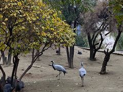 -森林公园(尖草坪区)