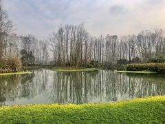 -桤木河湿地公园