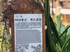 -重庆十八梯传统风貌区