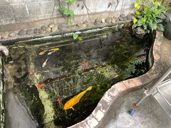 -華叔茶記
