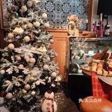 三里屯小伯格小酒馆