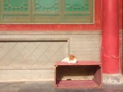 -终南山国家森林公园