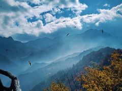 -秦岭终南山世界地质公园翠华山景区