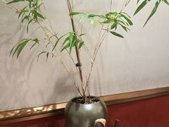 -蘇锦宴·淮扬菜烤鸭·小院(三元桥霄云路店)