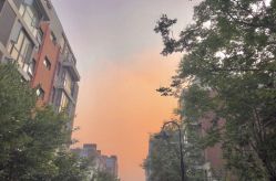 -河南中医药大学第一附属医院-医疗整形