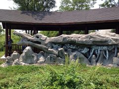 iphone_upload_pic-中国扬子鳄村