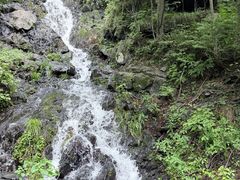 -凤凰山国家森林公园