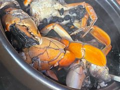 -老财炒饭·熟地蟹·冬瓜蟹