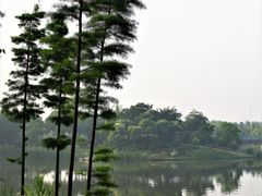 -尚贤河湿地