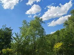 -长春市南湖公园