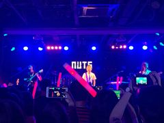 -坚果NUTS