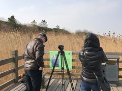 -吴淞炮台湾湿地森林公园烧烤区