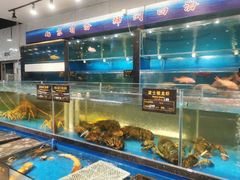 水产区-神洲四海大酒楼(王府井澳门中心店)