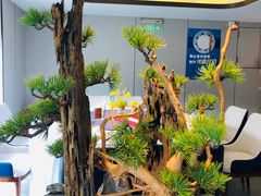 -顺峰(农展馆店)