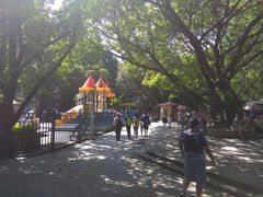 -晓港公园