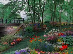 -上海共青森林公园