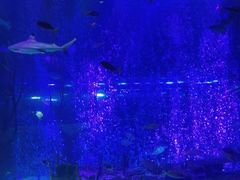 -沈阳海洋探索中心