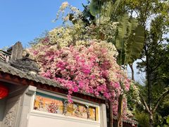 -深圳国际园林花卉博览园