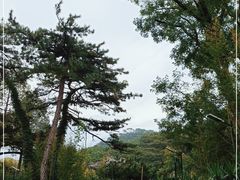 -红螺寺