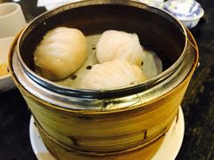 -糖朝(尖沙咀店)