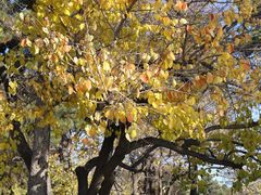 -长春市南湖公园