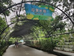 -广州长隆飞鸟乐园