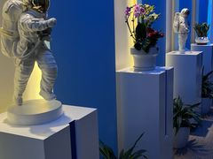 -爱氧森林·日本兴百世SHENPIX微高压氧舱