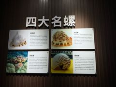 -贝壳王国博物馆