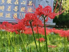-西安大兴善寺