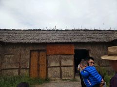 -泗洪洪泽湖湿地景区