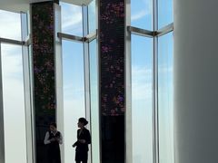 -Free Sky 云际观光层