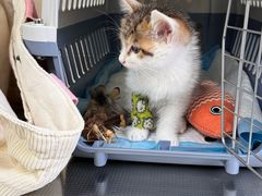 -酷宠动物医院(天通西苑店)