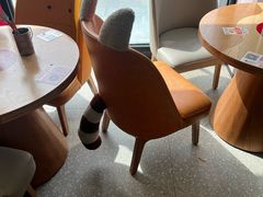 -必胜客(龙茗店)