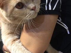 -小时光咖啡馆(开森度假森林店)