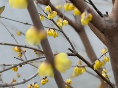 -国家植物园南园