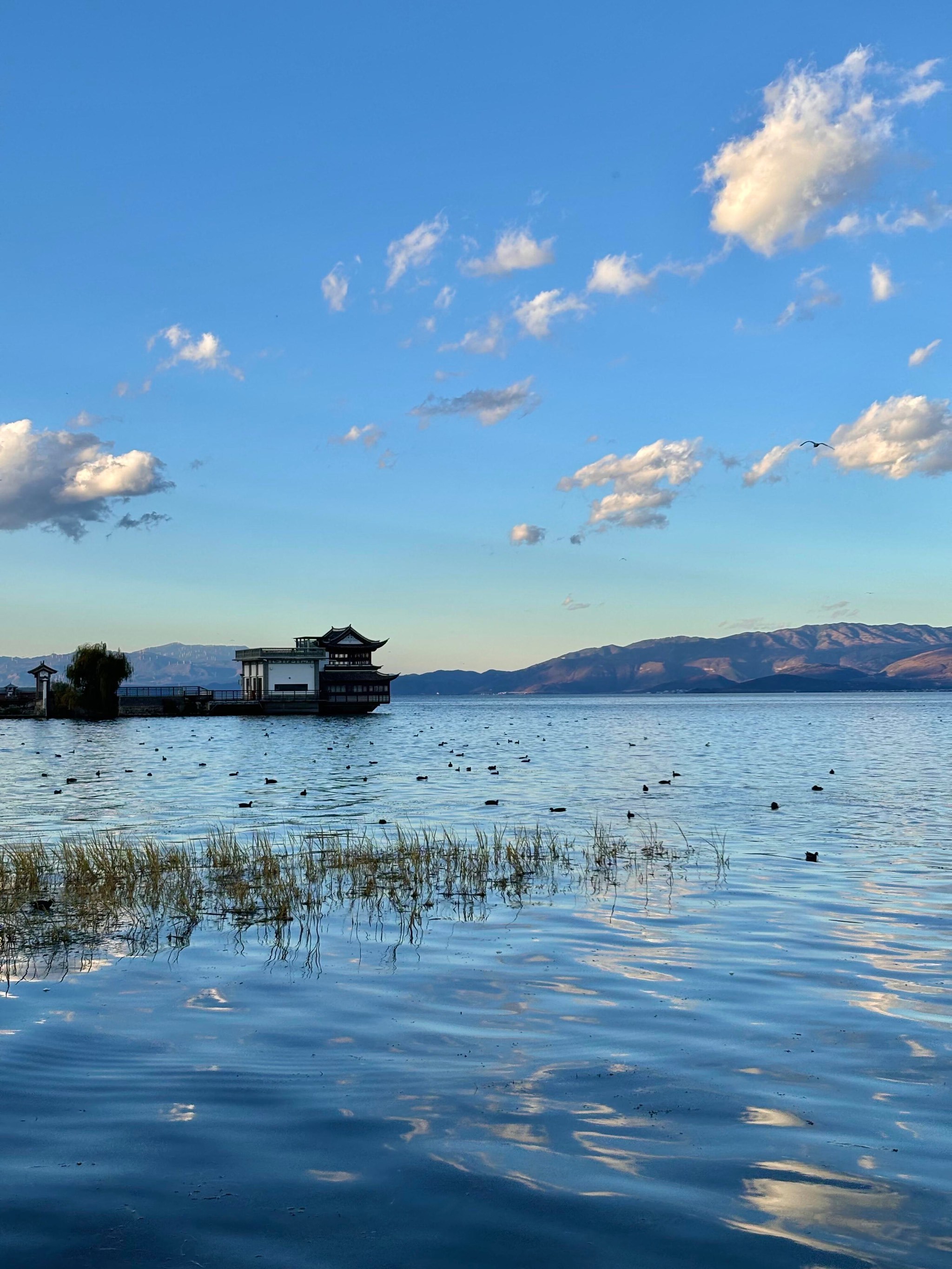 大理天气今日情况