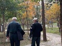 -阳台山自然风景区