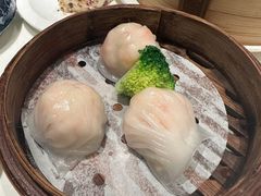 -新雅粤菜馆(南京东路店)