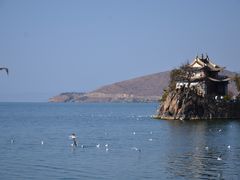 -小普陀