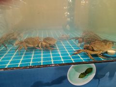 -凯德广场(武胜路店)