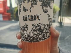 -莓超疯(浦西万达店)