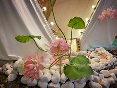 -天空花园餐吧·生日·团建(南山店)
