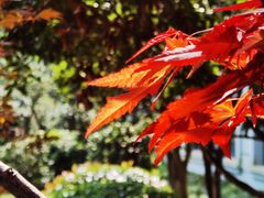 -南京东郊国宾馆