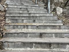 -王顺山国家森林公园