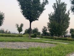 -汉长安城未央宫国家考古遗址公园