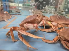 -香融府·烤鸭·家常菜(马家堡路店)